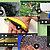 Videos von fangplatz.de (1)