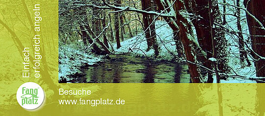 Angeltipps für den Winter