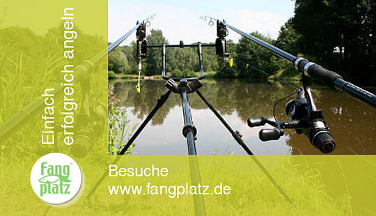 Die richtige Rutenablage - die Modelle und was sie können