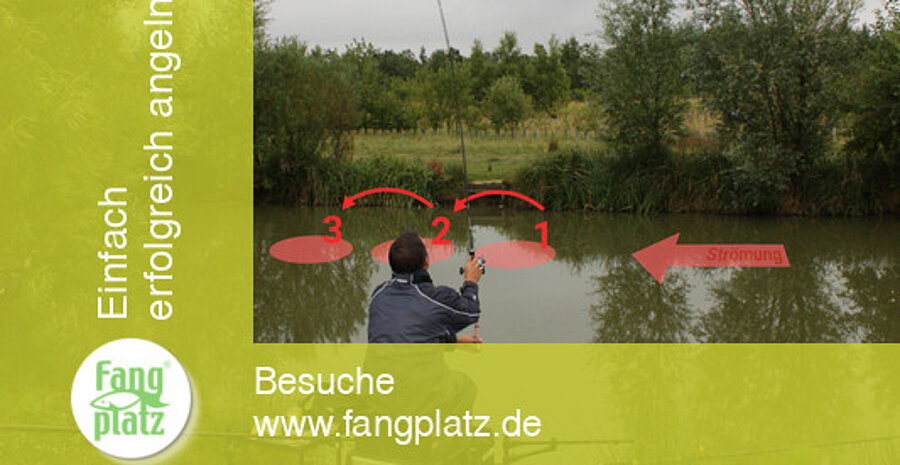 Feedern: Futterspur im Fluss Feedern: Futterspur im Fluss