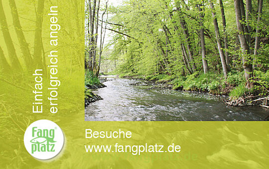 Kunstköder: Kleine Bäche, große Chancen! Standplätze von Brasch, Forelle, Hecht und Co.
