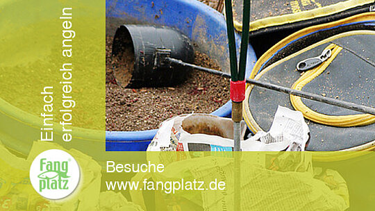 Futterstrategie in schmalen fließenden Gewässern