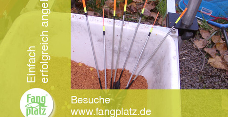 Ein super Waggler neu aufgelegt - der Zoomer Ein super Waggler neu aufgelegt - der Zoomer